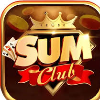 sumclub1org