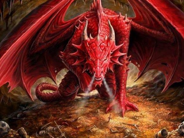 y nghia giac mo thay rong do